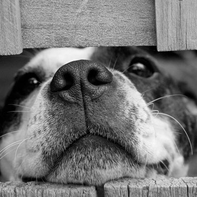 Portrait of Elena Popescu, a warm and friendly guide for the cardio program.